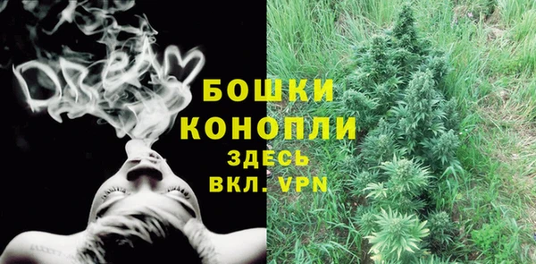 винт Горно-Алтайск