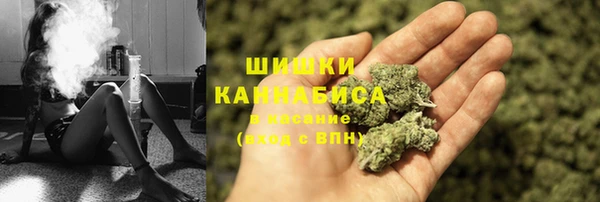 винт Горно-Алтайск