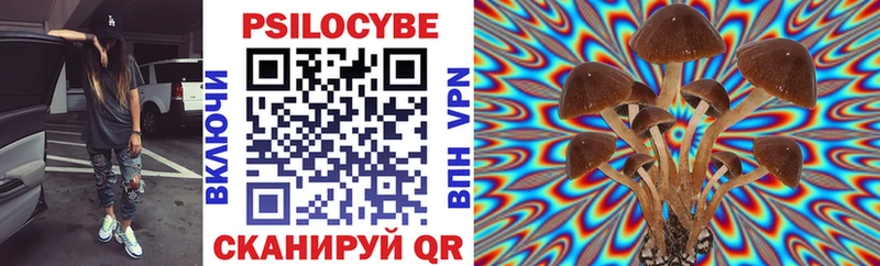 Псилоцибиновые грибы Cubensis  продажа наркотиков  Меленки 